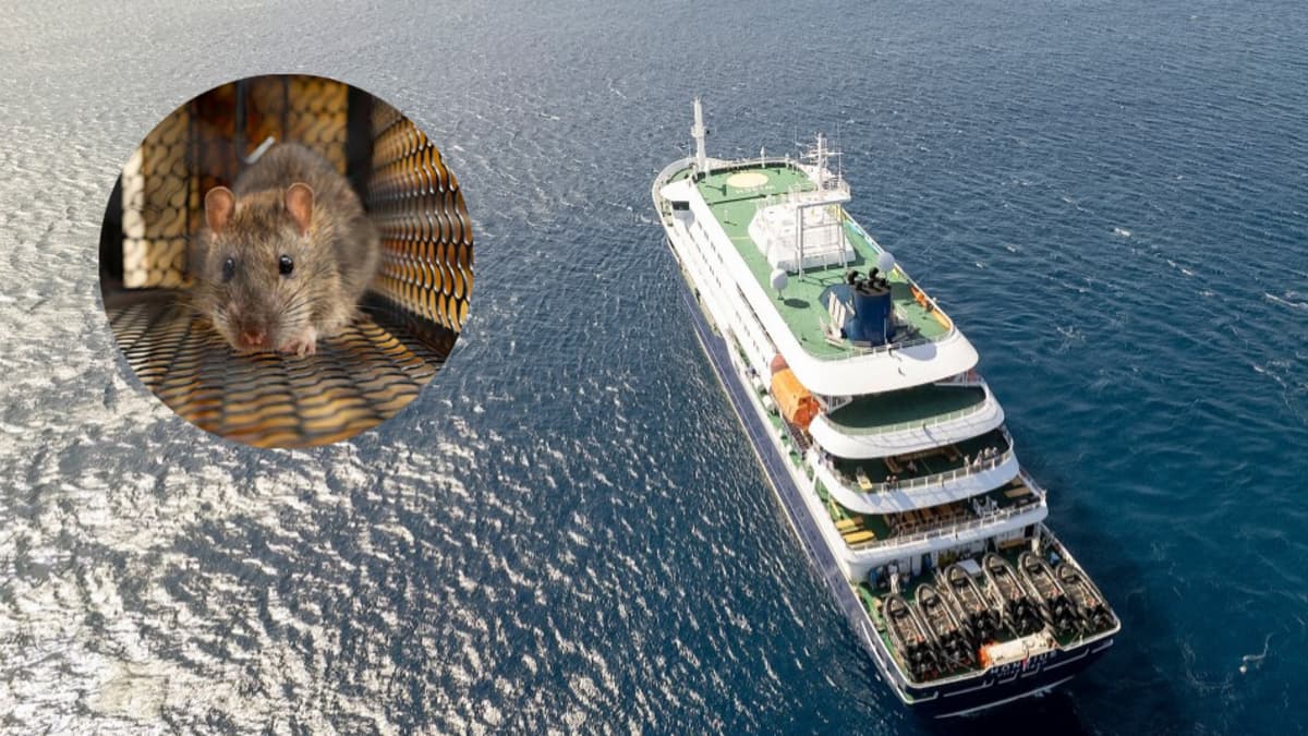 Alerta por hantavirus en crucero: qué tan contagioso es realmente y cómo prevenirse