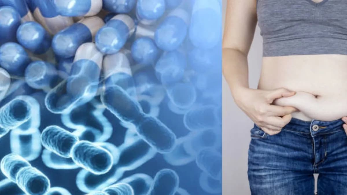 Posbióticos: qué son y qué dice la ciencia sobre su efecto en la grasa corporal