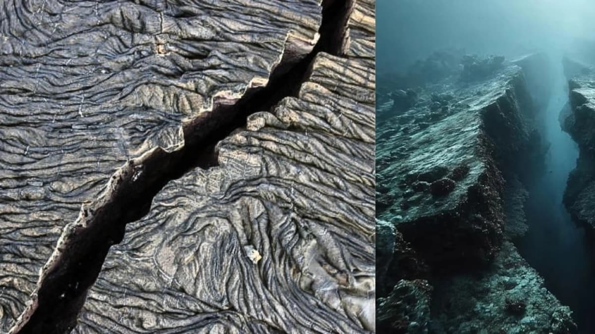 Científicos captan por primera vez cómo se fragmenta una placa tectónica bajo el océano cerca de Canadá
