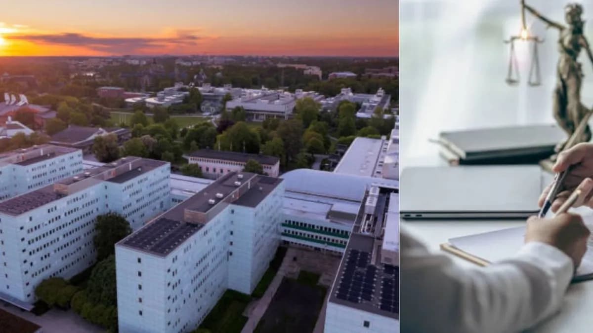 Universidades crean red gratuita para asesorar en casos de maltrato animal en Colombia