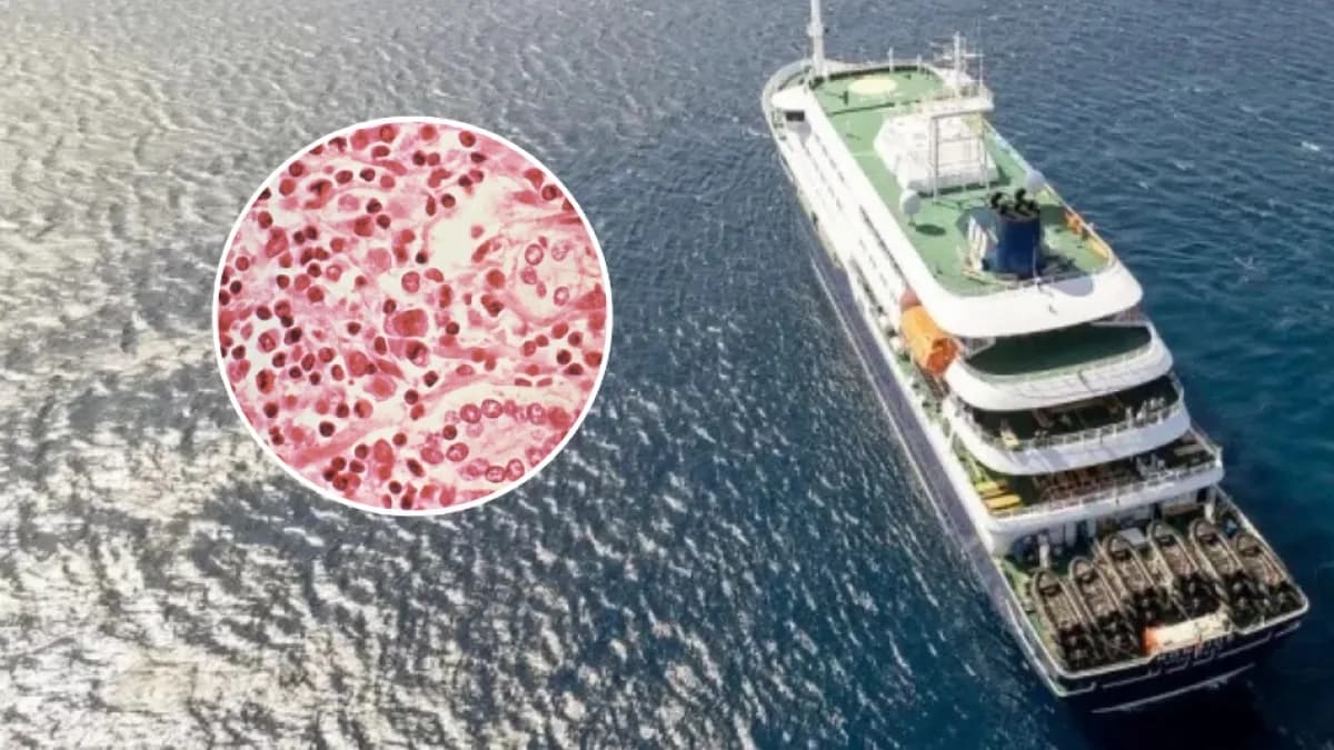Rastrean ruta de pareja neerlandesa que murió por hantavirus en crucero por Sudamérica