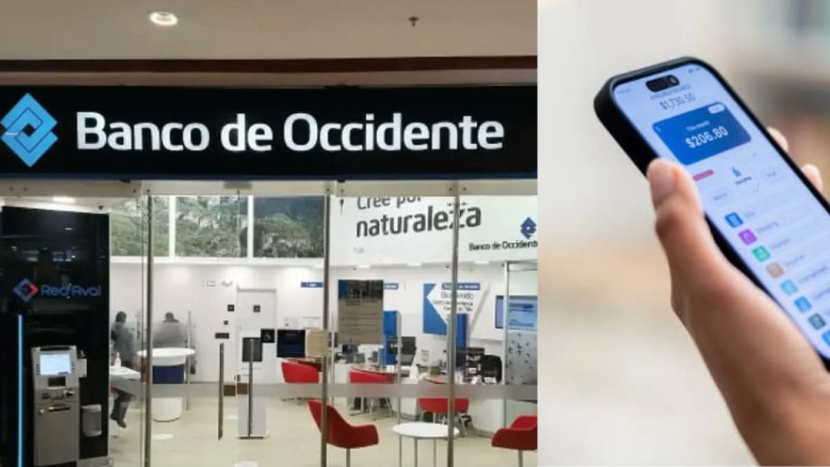 Banco de Occidente lanza Kubo: plataforma de ahorro sin cuota que promete 9% de rentabilidad anual