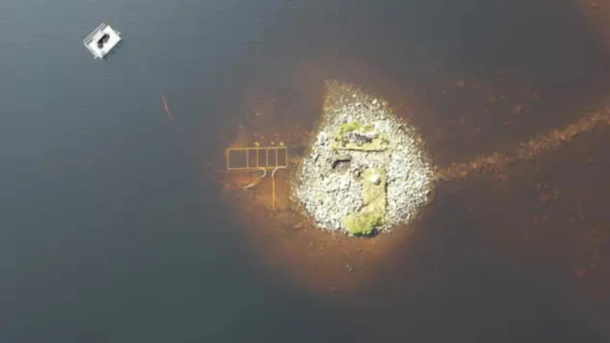 Descubrimiento en Escocia revela isla artificial de madera más antigua que Stonehenge