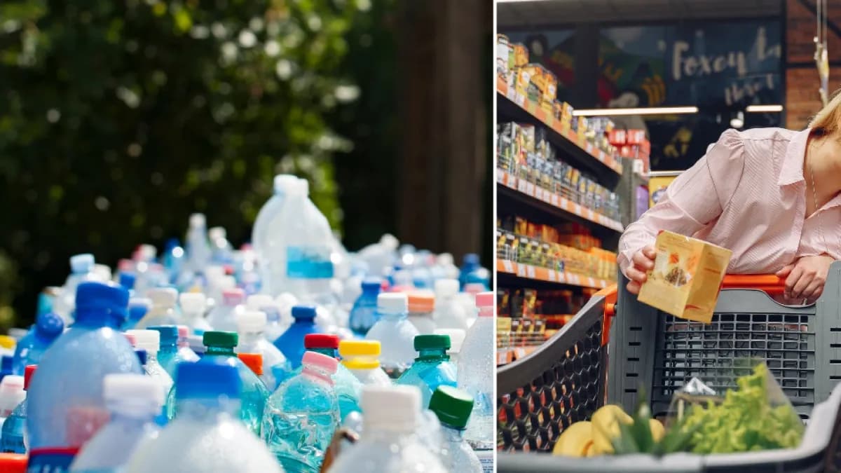 FAO alerta sobre riesgos de envases reciclados que contaminan alimentos con sustancias tóxicas