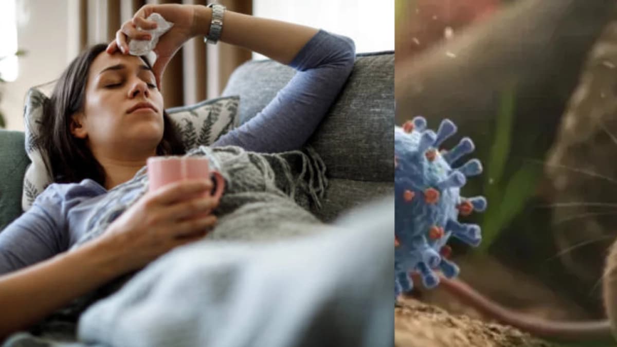 Hantavirus se disfraza de gripa: cómo identificar sus primeros síntomas antes de que empeore