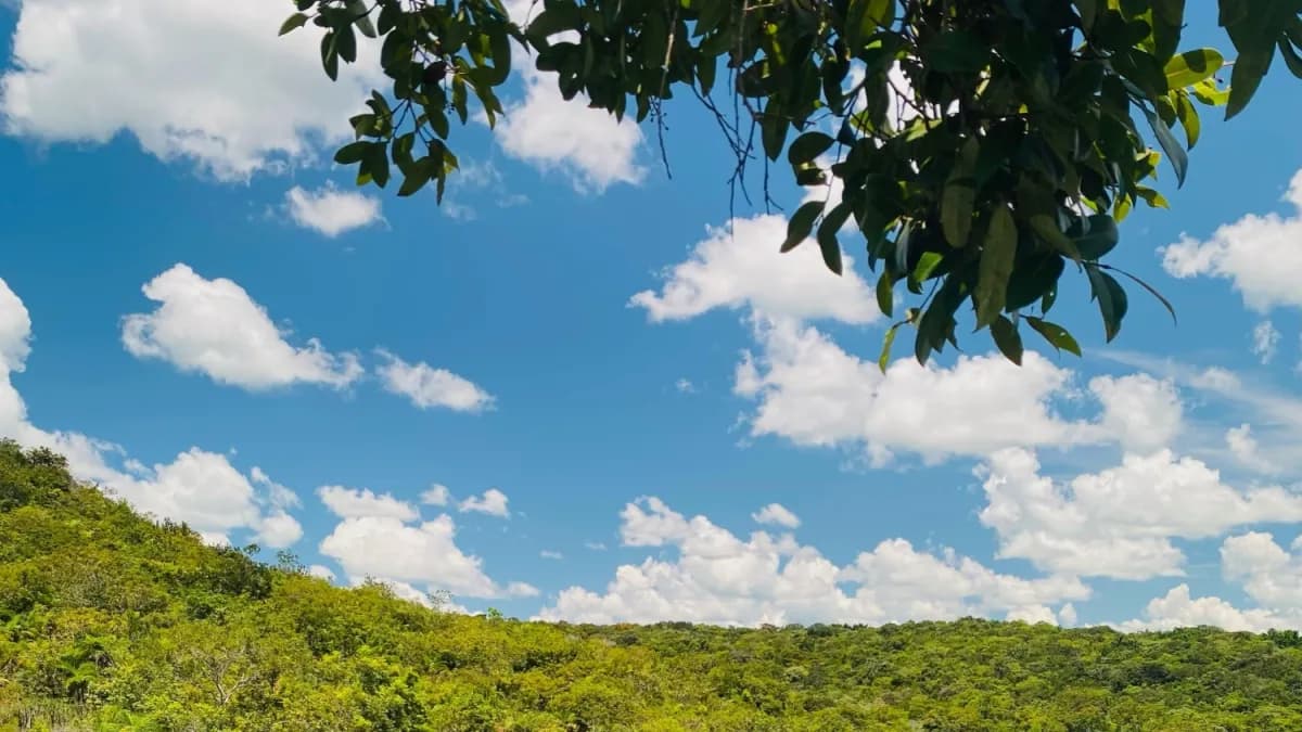 La Macarena abre temporada turística en Caño Cristales con expectativa de 8.000 visitantes