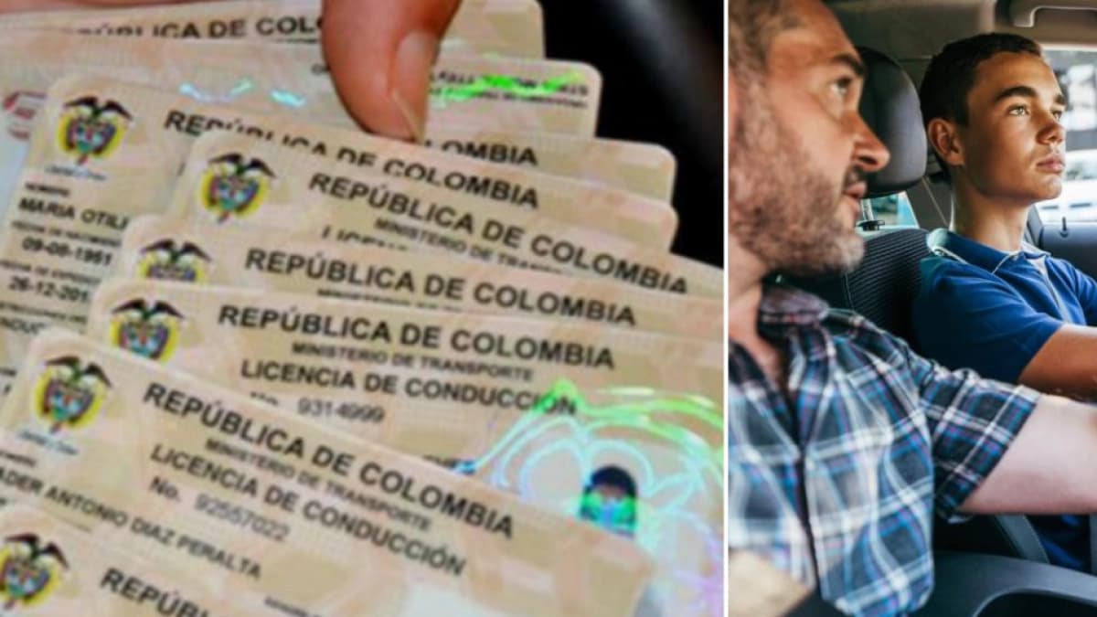 Licencia falsa: cómo verificar si es auténtica en tres pasos y evitar multas de más de 633 mil pesos