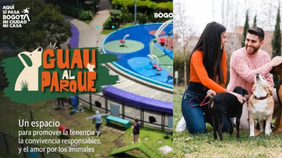 Bogotá ofrece atención veterinaria gratuita para mascotas este sábado en dos parques
