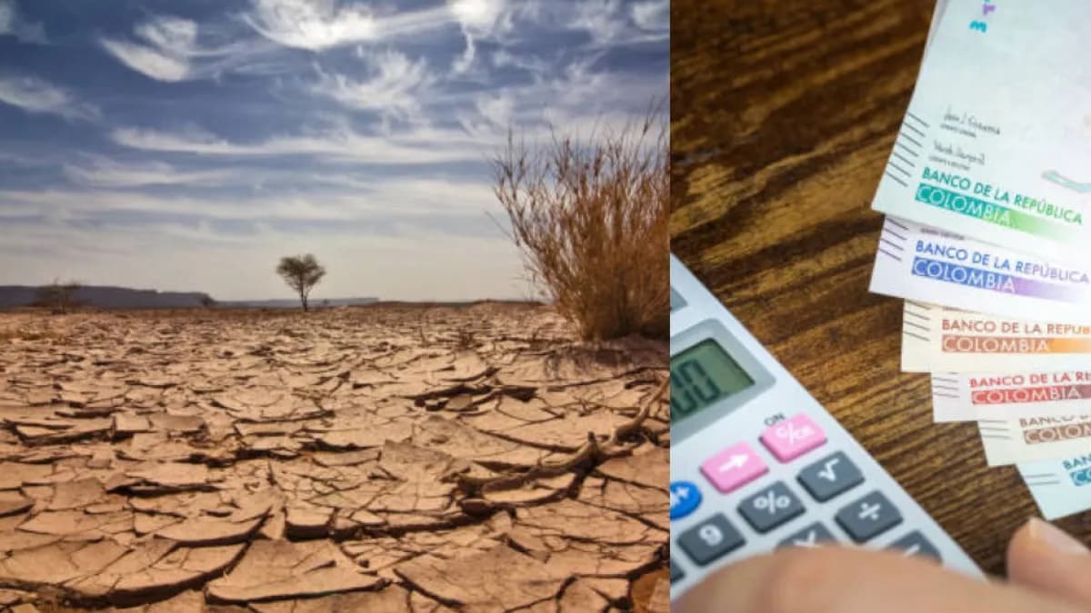 El Niño amenaza con disparar inflación a 7%: arroz, papa y plátano serán los más caros