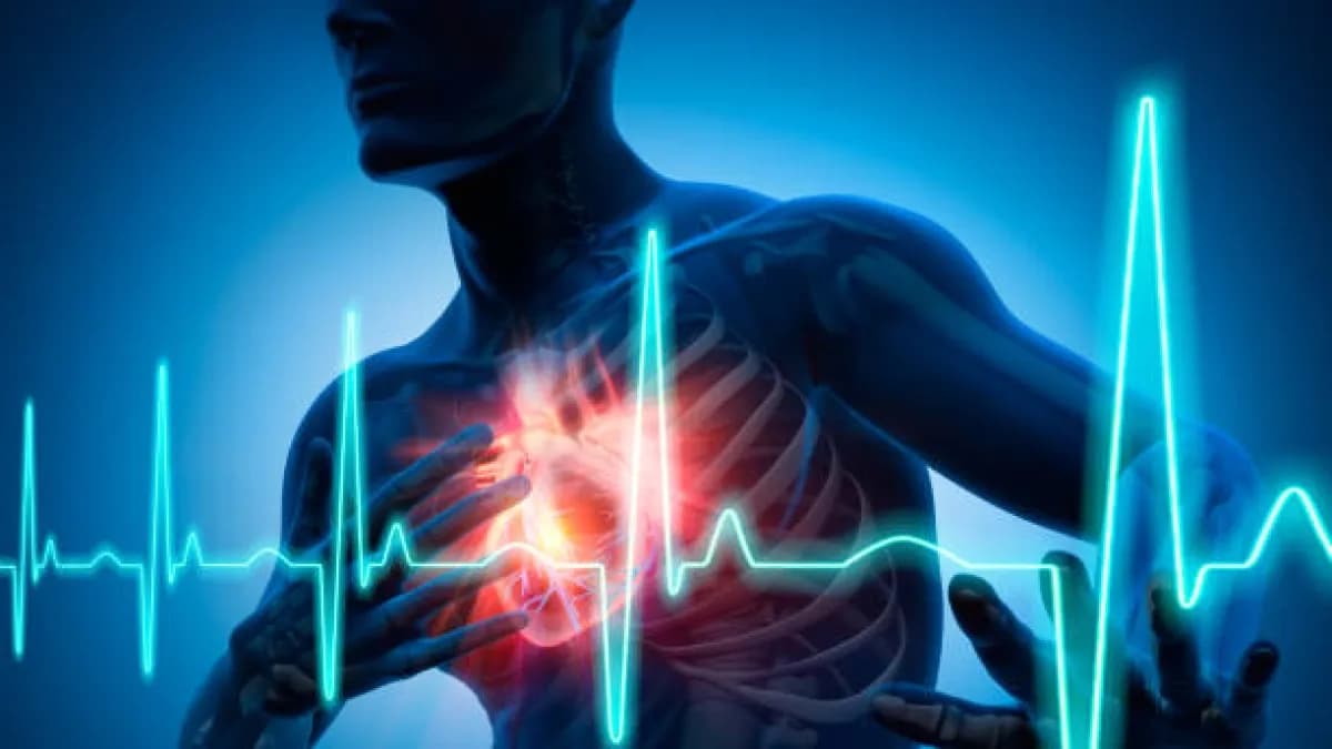 ¿Puede la pasión por el fútbol afectar tu corazón? Cardiólogos advierten sobre riesgos durante torneos