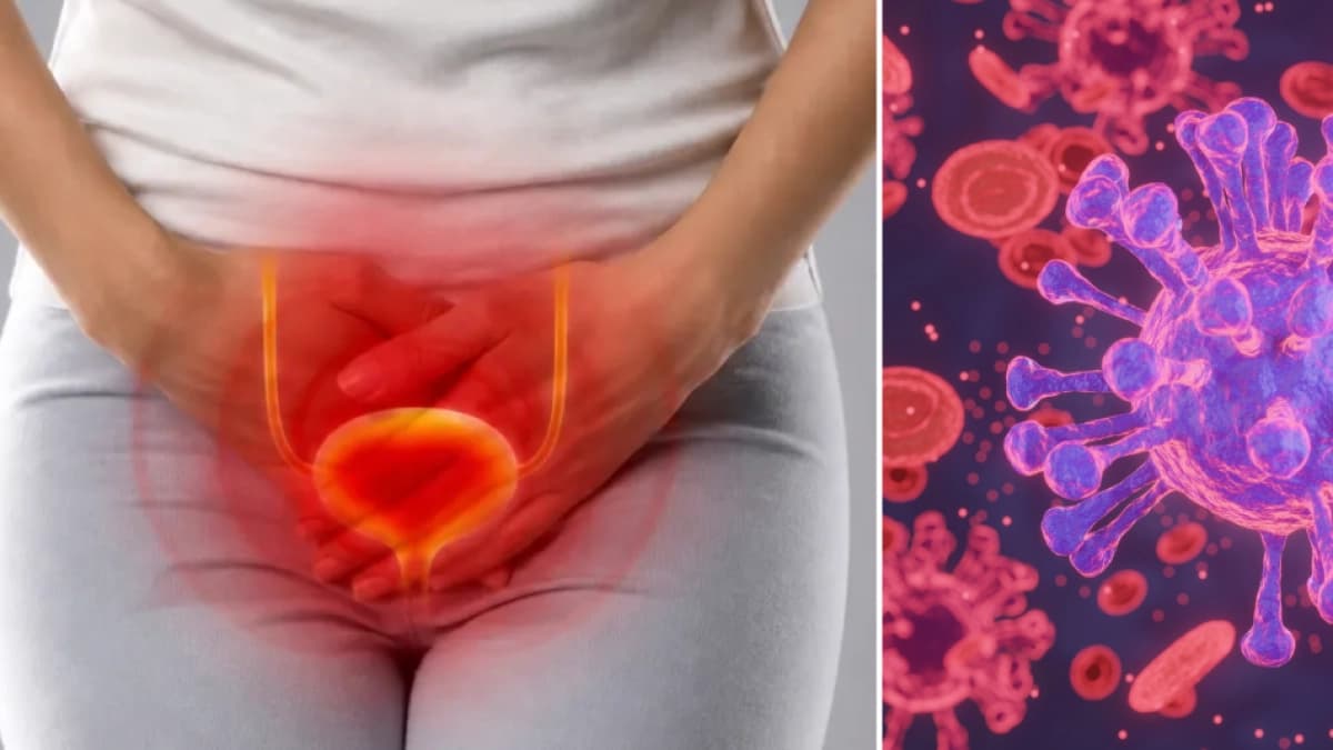 Urología cambia estrategia contra infecciones urinarias recurrentes: menos antibióticos, más prevención