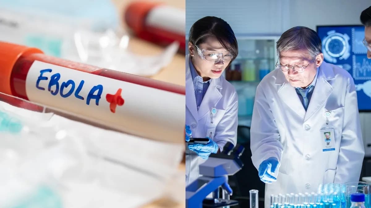 Tres vacunas contra el ébola en desarrollo acelerado tras brote de más de 900 casos en Congo y Uganda