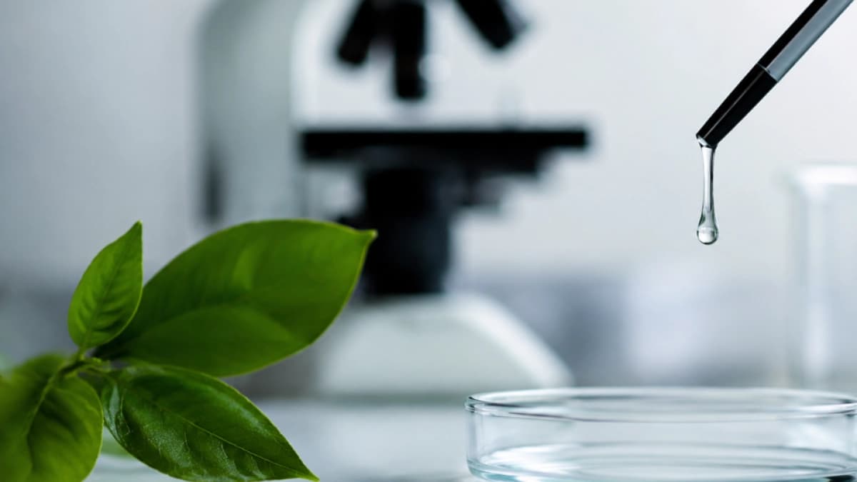 Europa apuesta por nanopartículas de plantas para combatir el cáncer de forma más selectiva