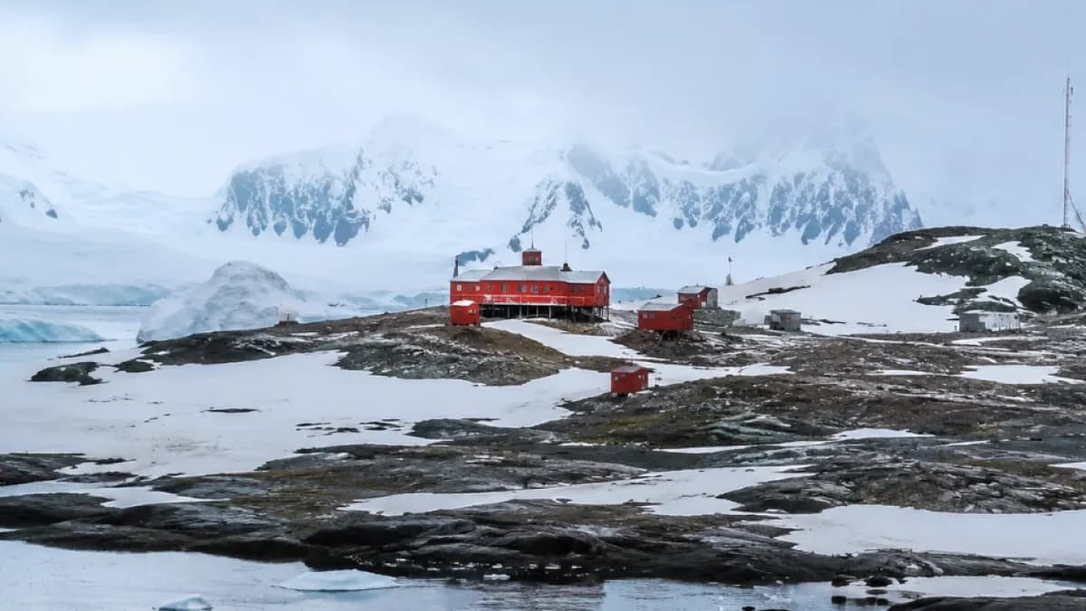 Antártida registra temperaturas nunca antes vistas mientras el hielo marino se reduce drásticamente