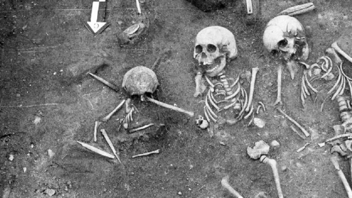 Hallan la peste más antigua conocida: mató a decenas de niños hace 5.000 años en Siberia