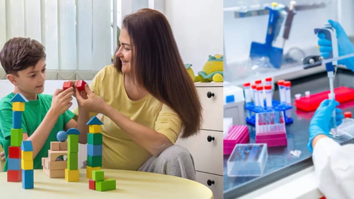 Científicos crean mini cerebros en laboratorio para entender el autismo profundo y diseñar tratamientos