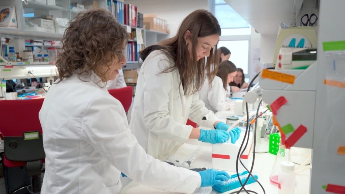 Desconexión entre cerebro e hígado podría explicar el retraso en el crecimiento infantil