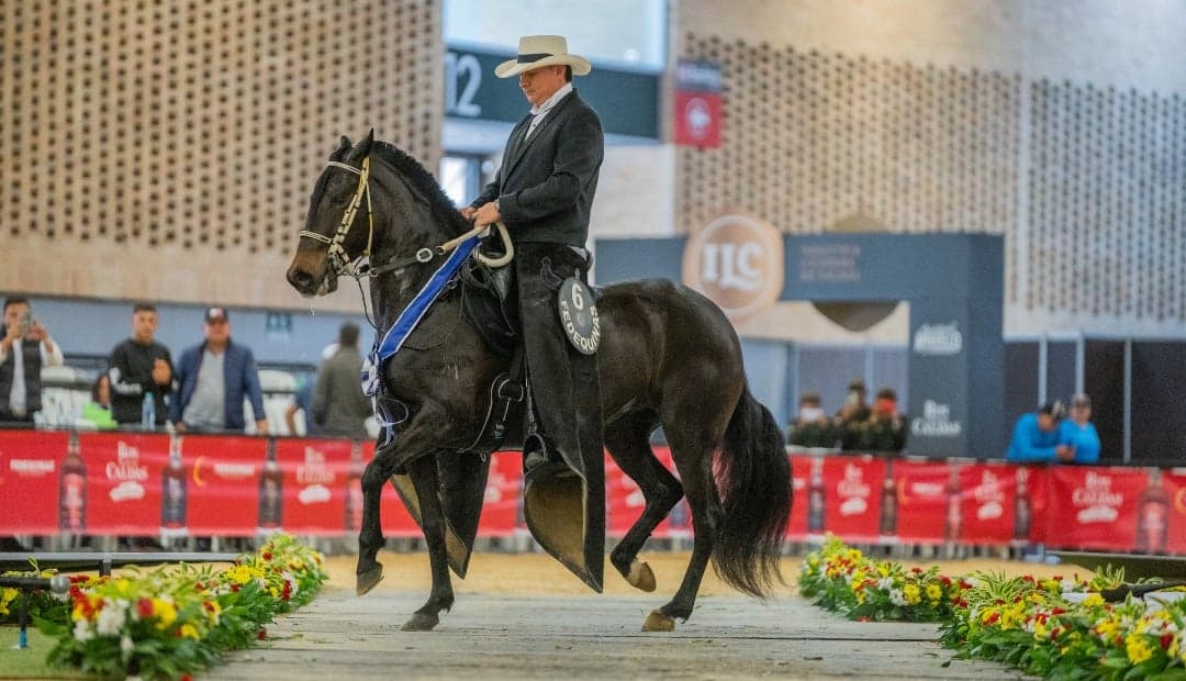 Mayo lleno de carreras equinas: diez competencias en seis departamentos