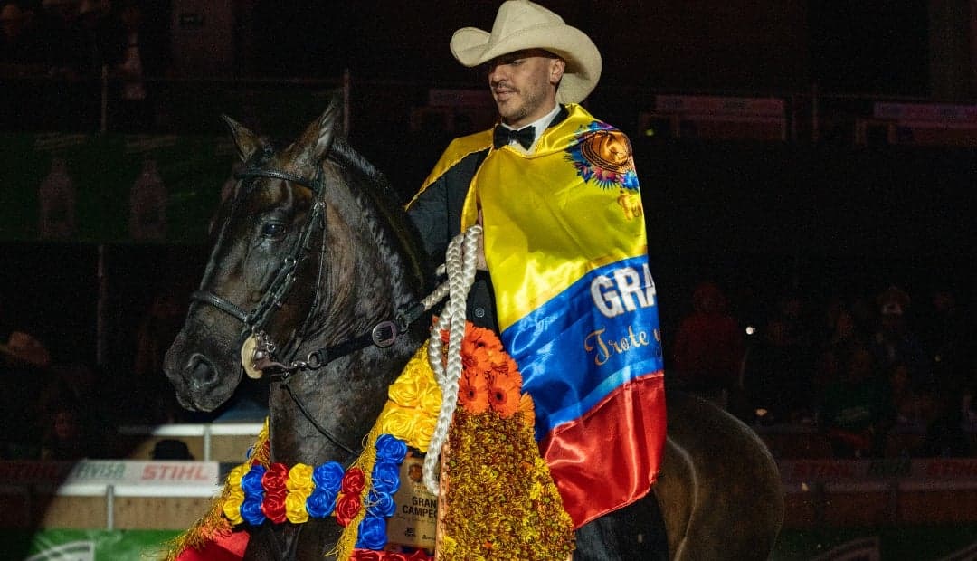 Subastas de caballos criollos abren la genética de élite a más criadores en Antioquia