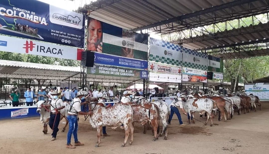 Expoterneros 2026 se cancela en Córdoba por emergencia invernal y uso de escenario como albergue