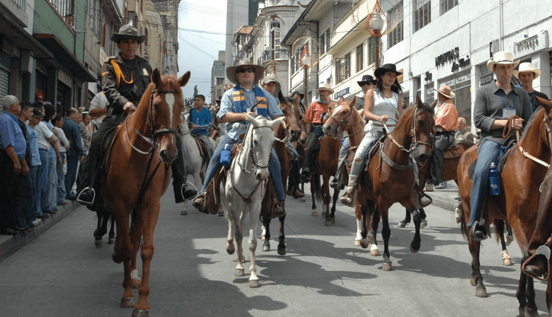 Proyecto de ley busca regular cabalgatas con estándares de bienestar animal en todo el país