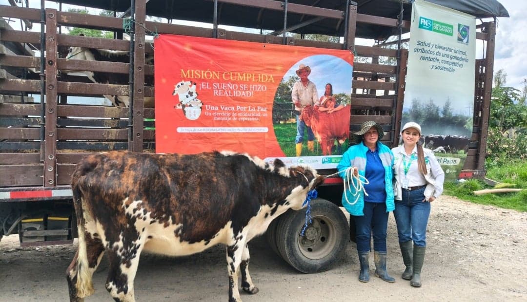 Fedegán reparte 11 novillas preñadas en Boyacá con un giro: cada familia debe pasar la primera cría a otra