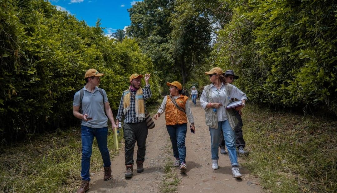 ANT recupera 1.800 hectáreas del narcotráfico en Valle del Cauca para entregar a campesinos