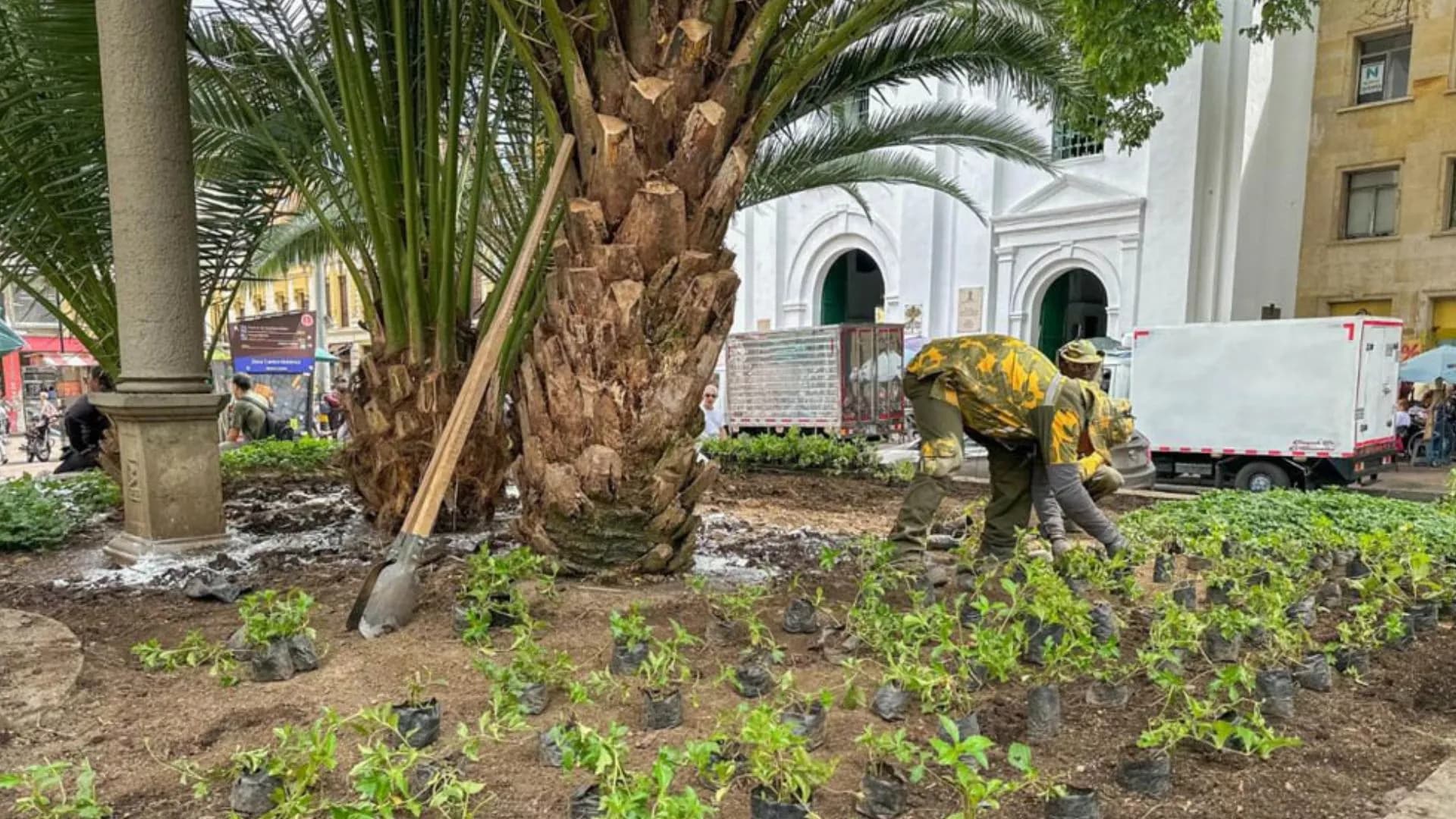 Medellín se lleva por cuarta vez el título de Ciudad Árbol del Mundo