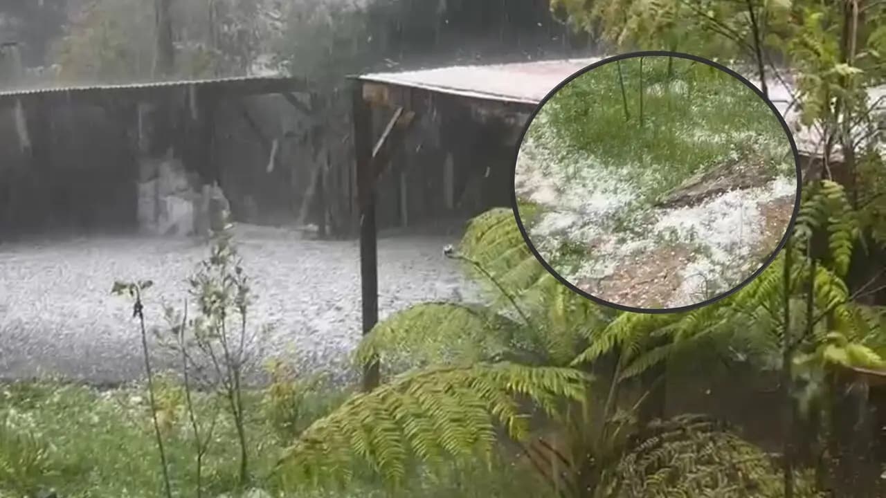 Santa Elena se cubrió de hielo: la granizada que sorprendió a Medellín este martes