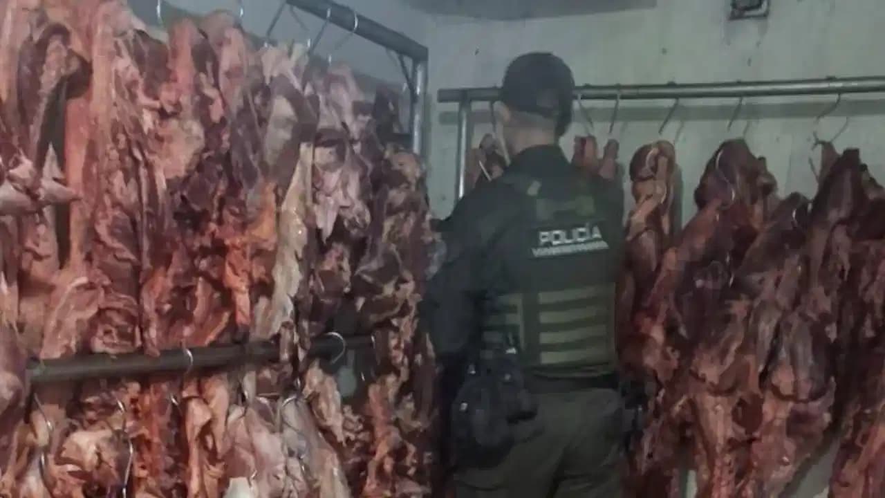 Autoridades decomisan tres toneladas de carne irregular en Medellín por incumplir normas sanitarias