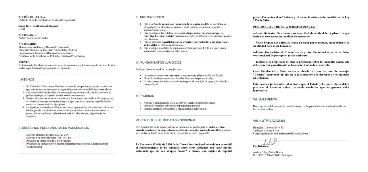 Juez admite tutela para frenar eutanasia de hipopótamos en Colombia: Estado tiene 48 horas para responder