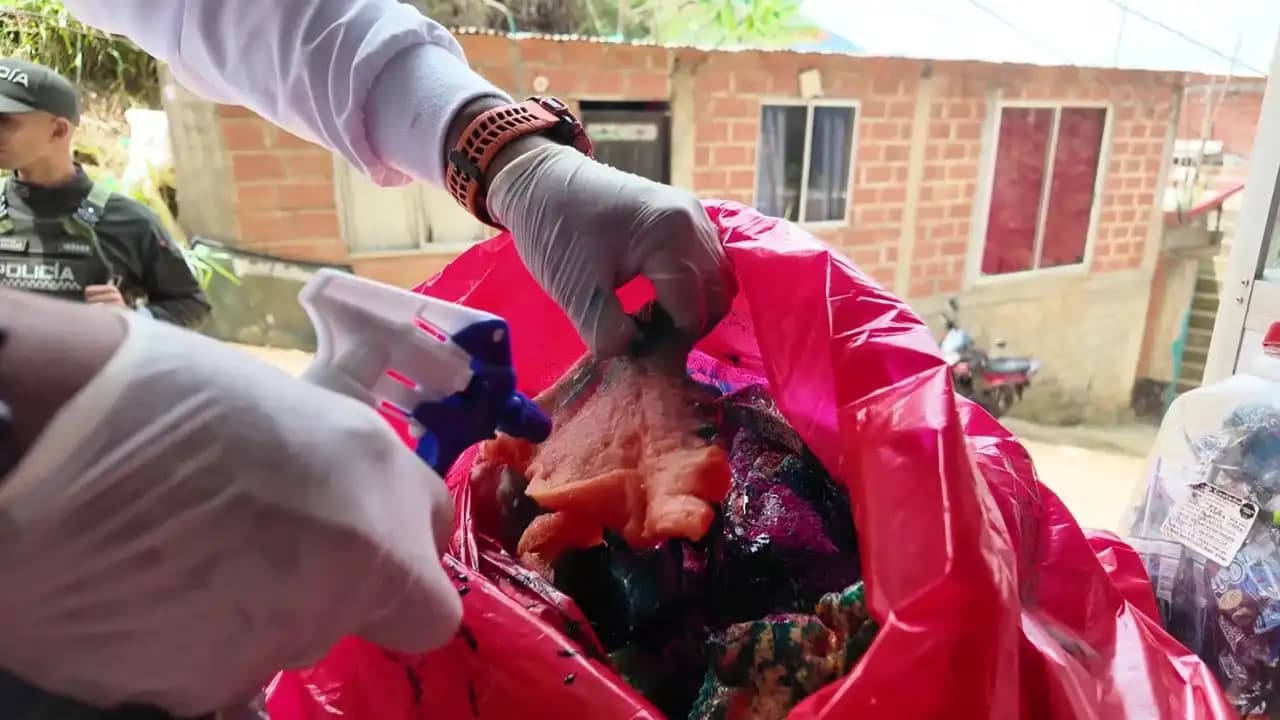 Autoridades decomisan 84 kilos de carne en mal estado y cierran carnicería en Bello