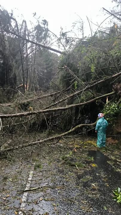 La loma El Escobero cierra hasta el viernes por daños de las lluvias: sin cobro de peaje