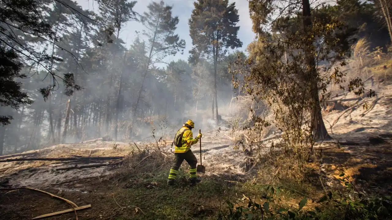 Medellín se prepara para temporada seca con plan de prevención contra incendios forestales
