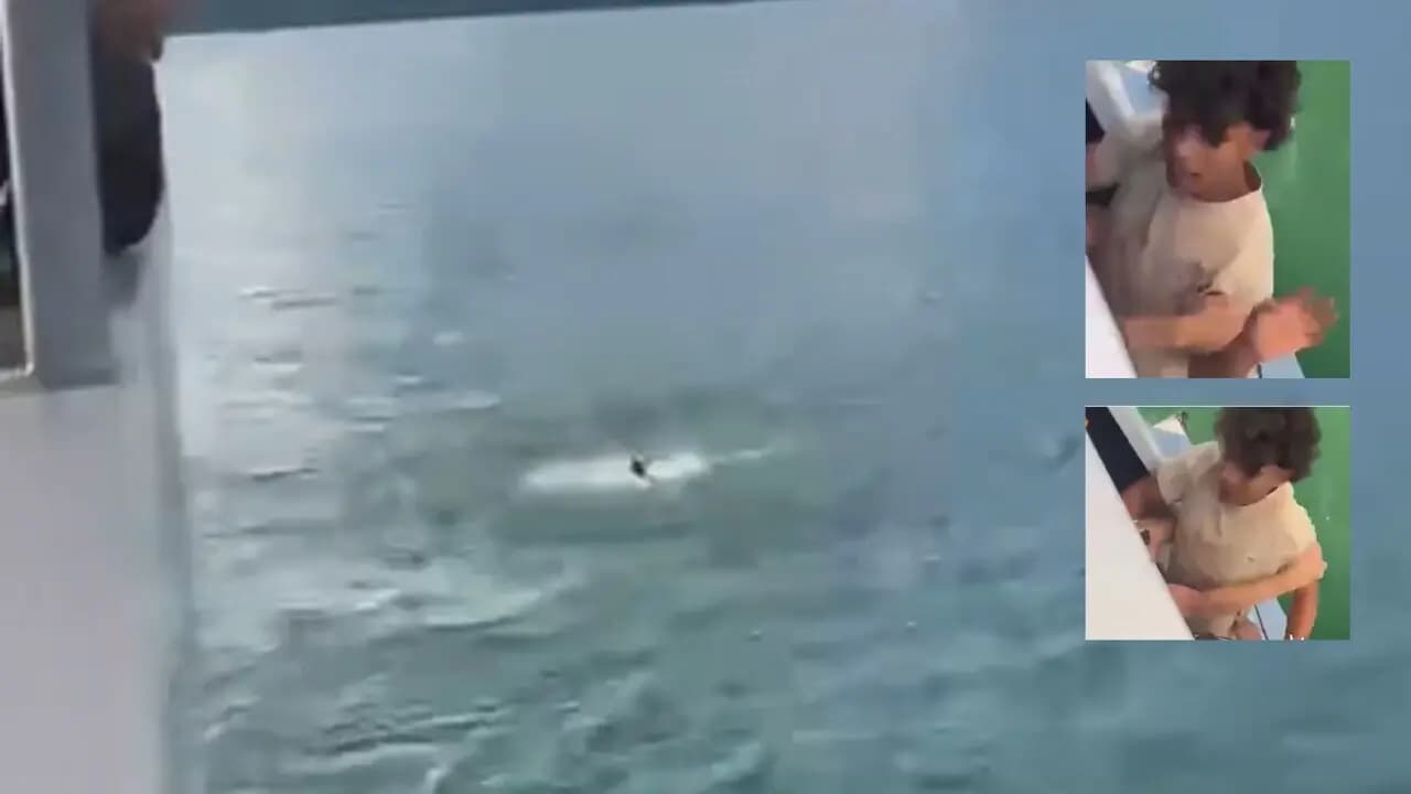 Videos revelan riña a bordo: turista sin saber nadar se lanzó al agua en Guatapé