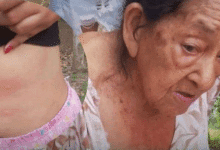 Pánico en Bugre: ataque de abejas africanizadas deja varios heridos en Ciénaga de Oro