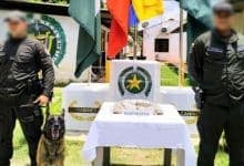 El olfato de 'Dimitrio' frena narcoenvío desde Montería a Bolívar