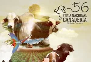 Montería celebra su Feria Ganadera con campaña de vacunación contra enfermedades de vigilancia