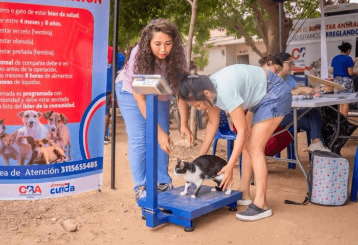Valledupar abre Centro de Bienestar Animal con meta de atender 15.000 mascotas en 2026