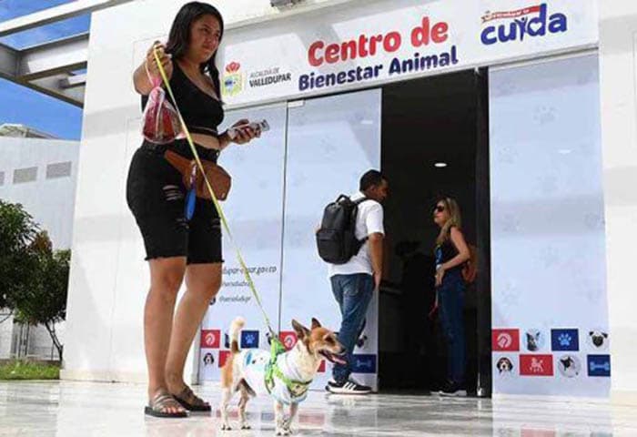 Valledupar abrirá las puertas del Centro de Bienestar Animal a la comunidad