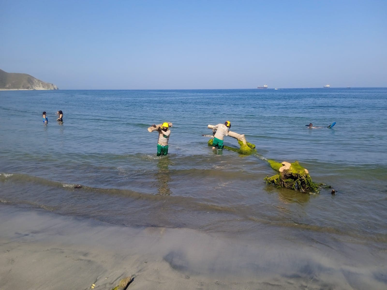Atesa limpia playa Los Cocos en Bellavista, pero un árbol del río sigue encallado