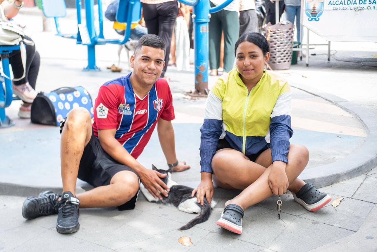 Santa Marta arranca jornadas gratuitas de esterilización: ya atendieron más de 100 mascotas