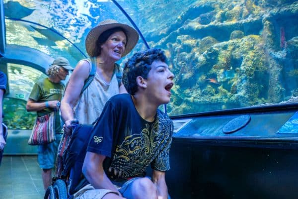 De Cusco a Santa Marta: cómo los delfines transformaron la vida de Illa