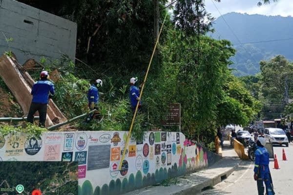 Air-e Intervenida trabaja con comunidades de Minca para mejorar el servicio eléctrico