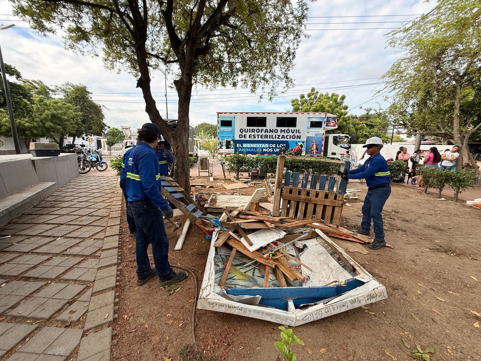 Alcaldía rescata 20 gatos del Parque San Miguel tras años de abandono animal
