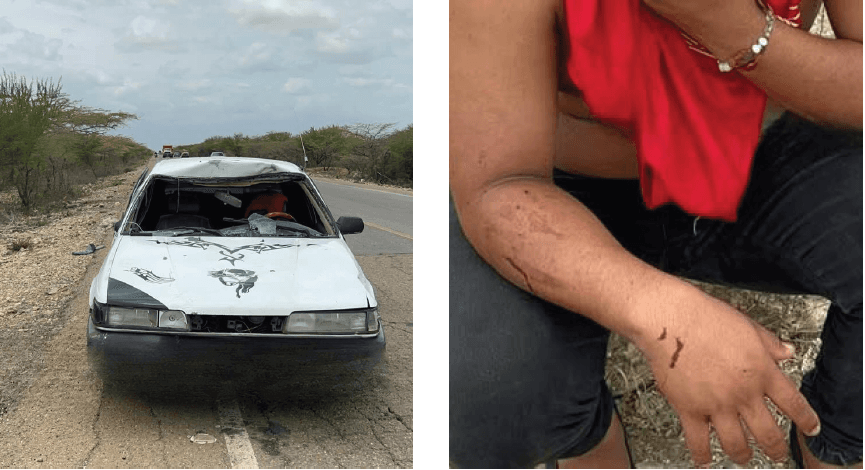 Caballo suelto causa accidente en la vía Uribia-Maicao; advierten sobre peligro recurrente