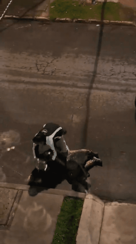 Pareja de adultos mayores víctima de violento robo en Galerías: los atracadores los amenazaron con armas