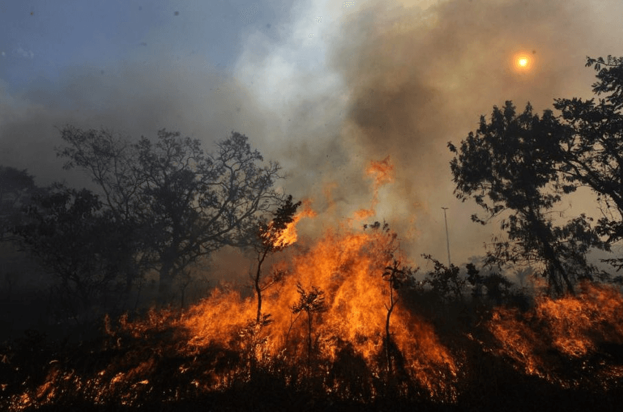 Ideam alerta a 15 municipios por riesgo de incendios forestales en el país