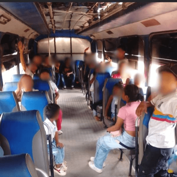 Enjambre de abejas africanas obliga a evacuar escuela en rural de Manaure