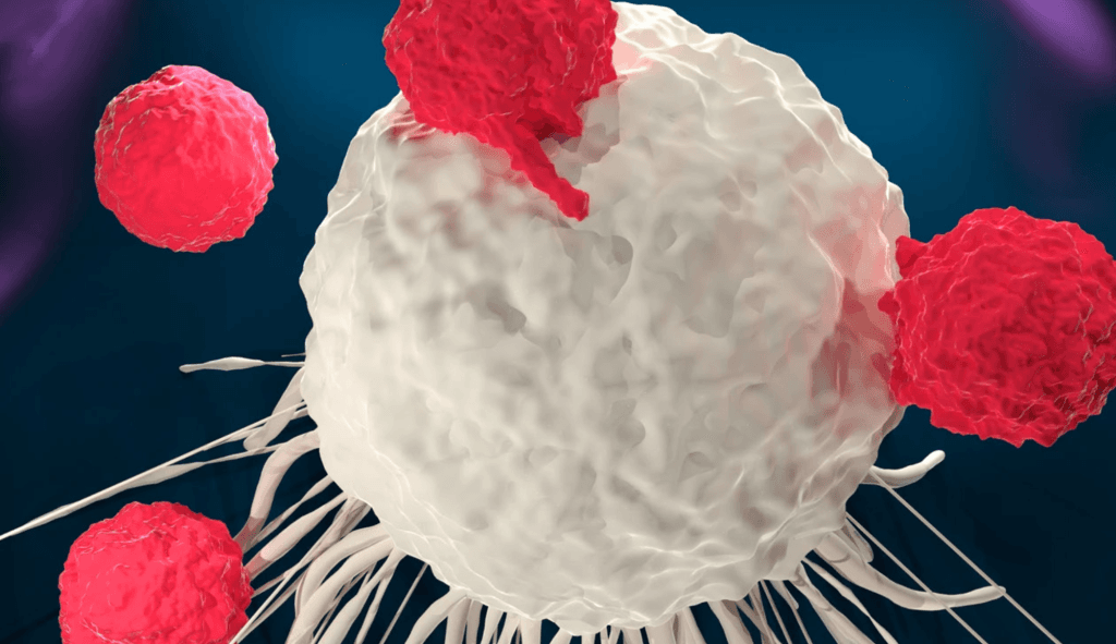 Células CAR-T logran vencer el cáncer sin quimioterapia previa en hallazgo histórico